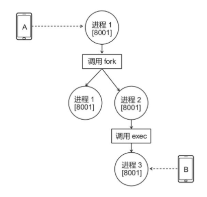 fork和exec函数示意图