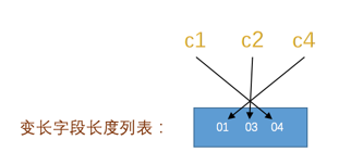 变长字段长度列表