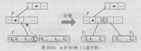 3阶B+树 上溢分裂