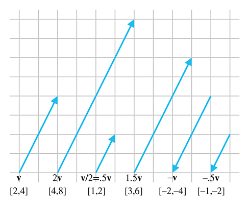 二维向量乘以各种标量